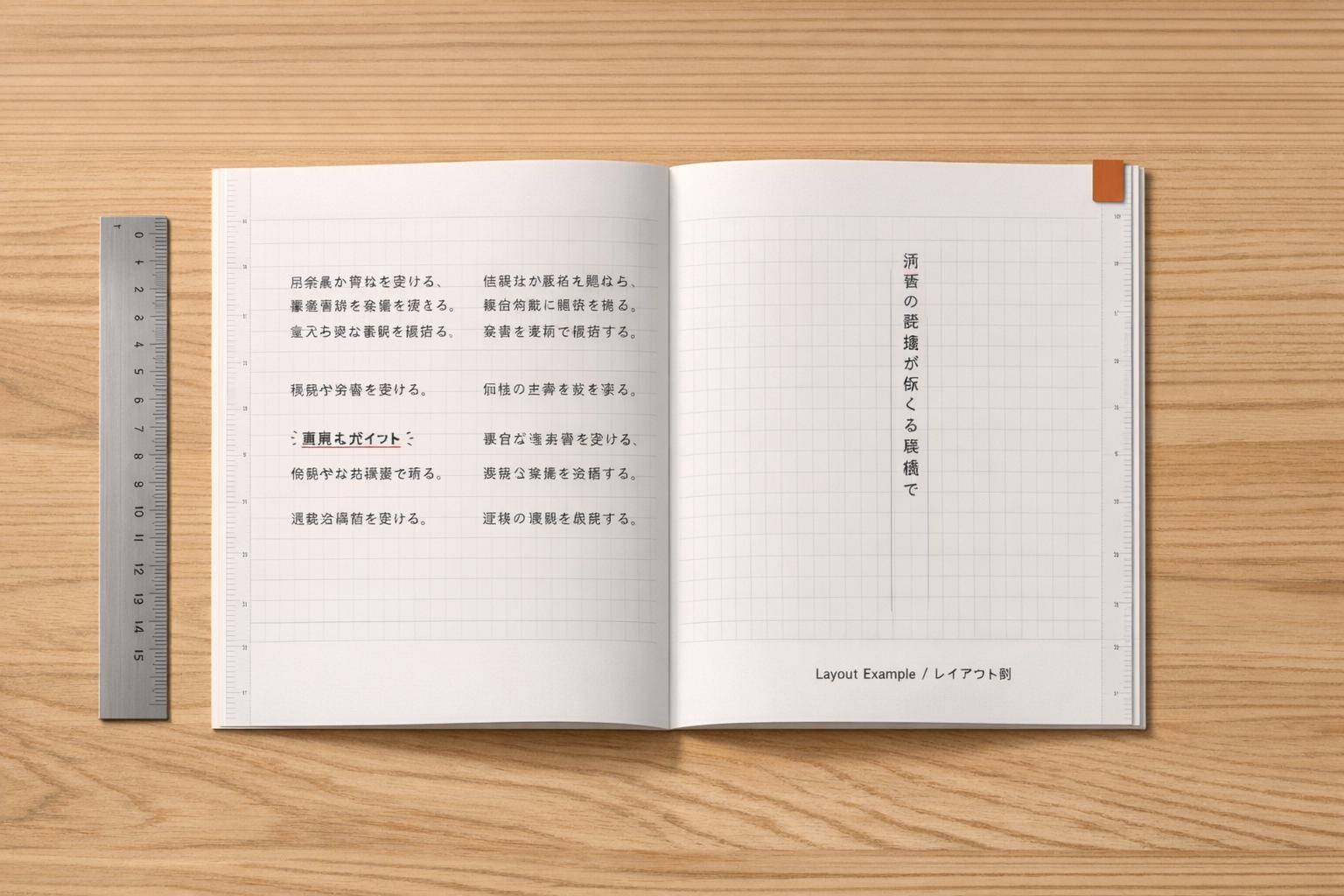 Japanese Technical Document Layout Basics